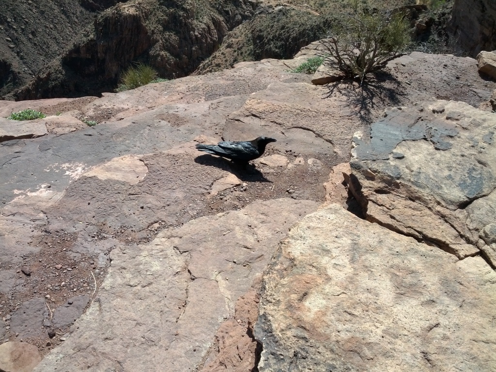 IMG_20130316_113613.jpg
